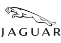 jaguar-dark