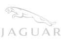 jaguar-light